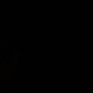 Meet your Posher, Linette